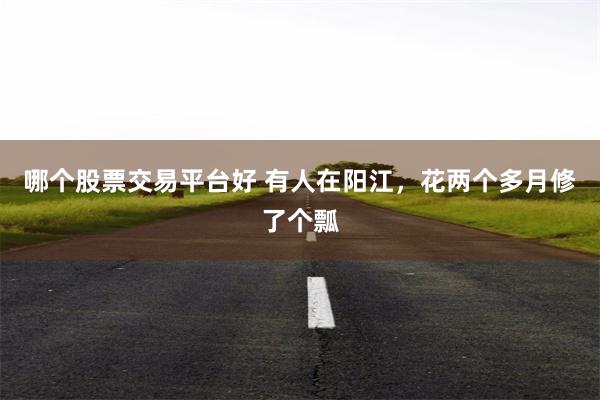 哪个股票交易平台好 有人在阳江，花两个多月修了个瓢