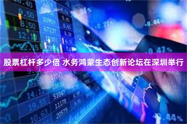 股票杠杆多少倍 水务鸿蒙生态创新论坛在深圳举行