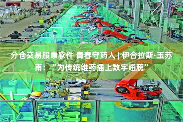 分仓交易股票软件 青春守药人 | 伊合拉斯·玉苏甫：“为传统维药插上数字翅膀”