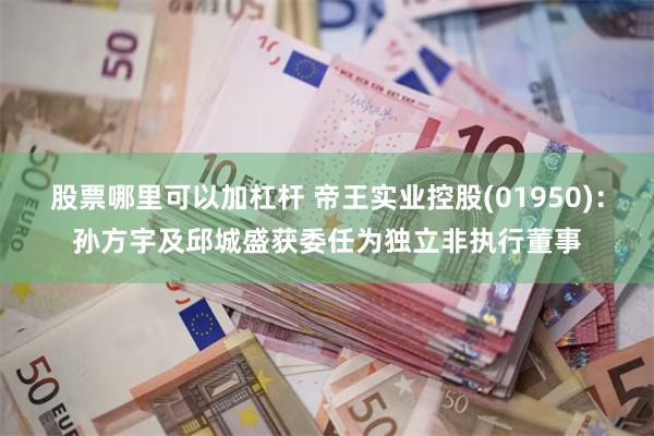 股票哪里可以加杠杆 帝王实业控股(01950)：孙方宇及邱城盛获委任为独立非执行董事