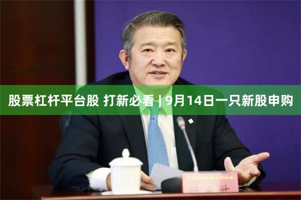 股票杠杆平台股 打新必看 | 9月14日一只新股申购