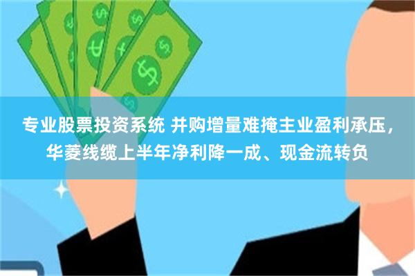 专业股票投资系统 并购增量难掩主业盈利承压，华菱线缆上半年净利降一成、现金流转负