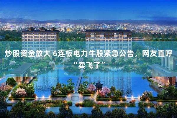 炒股资金放大 6连板电力牛股紧急公告，网友直呼“卖飞了”
