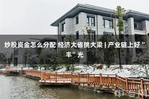 炒股资金怎么分配 经济大省挑大梁 | 产业链上好“丰”光