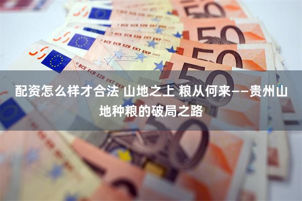 配资怎么样才合法 山地之上 粮从何来——贵州山地种粮的破局之路