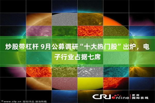 炒股带杠杆 9月公募调研“十大热门股”出炉，电子行业占据七席