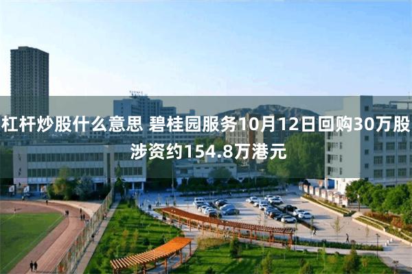 杠杆炒股什么意思 碧桂园服务10月12日回购30万股 涉资约154.8万港元