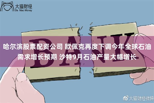 哈尔滨股票配资公司 欧佩克再度下调今年全球石油需求增长预期 沙特9月石油产量大幅增长