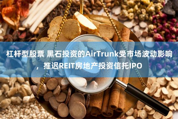 杠杆型股票 黑石投资的AirTrunk受市场波动影响，推迟REIT房地产投资信托IPO