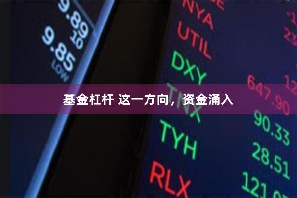 基金杠杆 这一方向，资金涌入