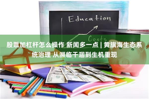 股票加杠杆怎么操作 新闻多一点 | 黄旗海生态系统治理 从濒临干涸到生机重现