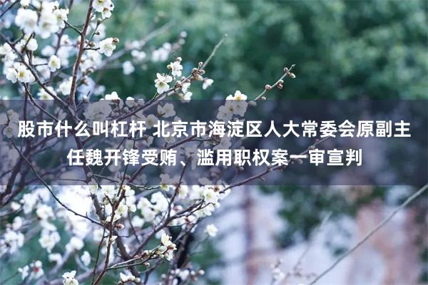 股市什么叫杠杆 北京市海淀区人大常委会原副主任魏开锋受贿、滥用职权案一审宣判