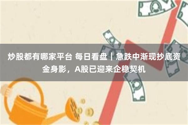 炒股都有哪家平台 每日看盘｜急跌中渐现抄底资金身影，A股已迎来企稳契机