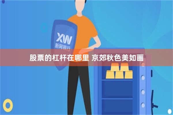 股票的杠杆在哪里 京郊秋色美如画