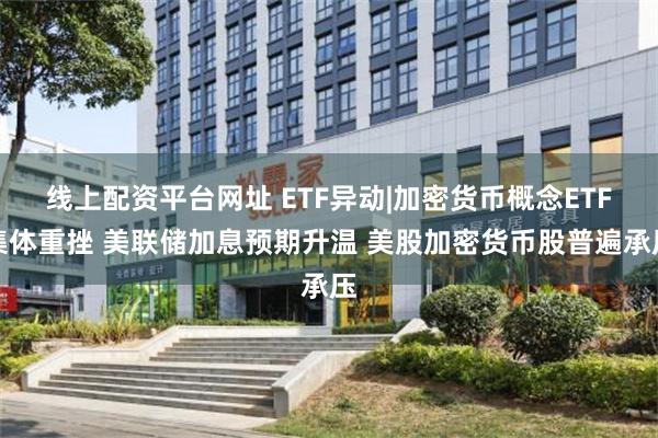 线上配资平台网址 ETF异动|加密货币概念ETF集体重挫 美联储加息预期升温 美股加密货币股普遍承压