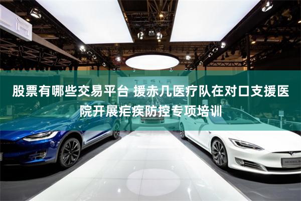 股票有哪些交易平台 援赤几医疗队在对口支援医院开展疟疾防控专项培训